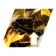 Skill