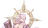 Grimoire of All Wisdom