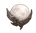Advanced Fruit of Vision