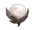Advanced Fruit