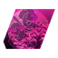 Tbl_UnitSkill_Name_23102