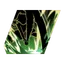 <Soul Eraser> Immortal Hunting