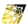 Skill