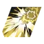 Blazing Kick