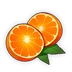 Flora Orange