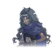 Selena Base icon