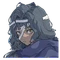 Selena Base icon