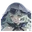 Stella Base icon
