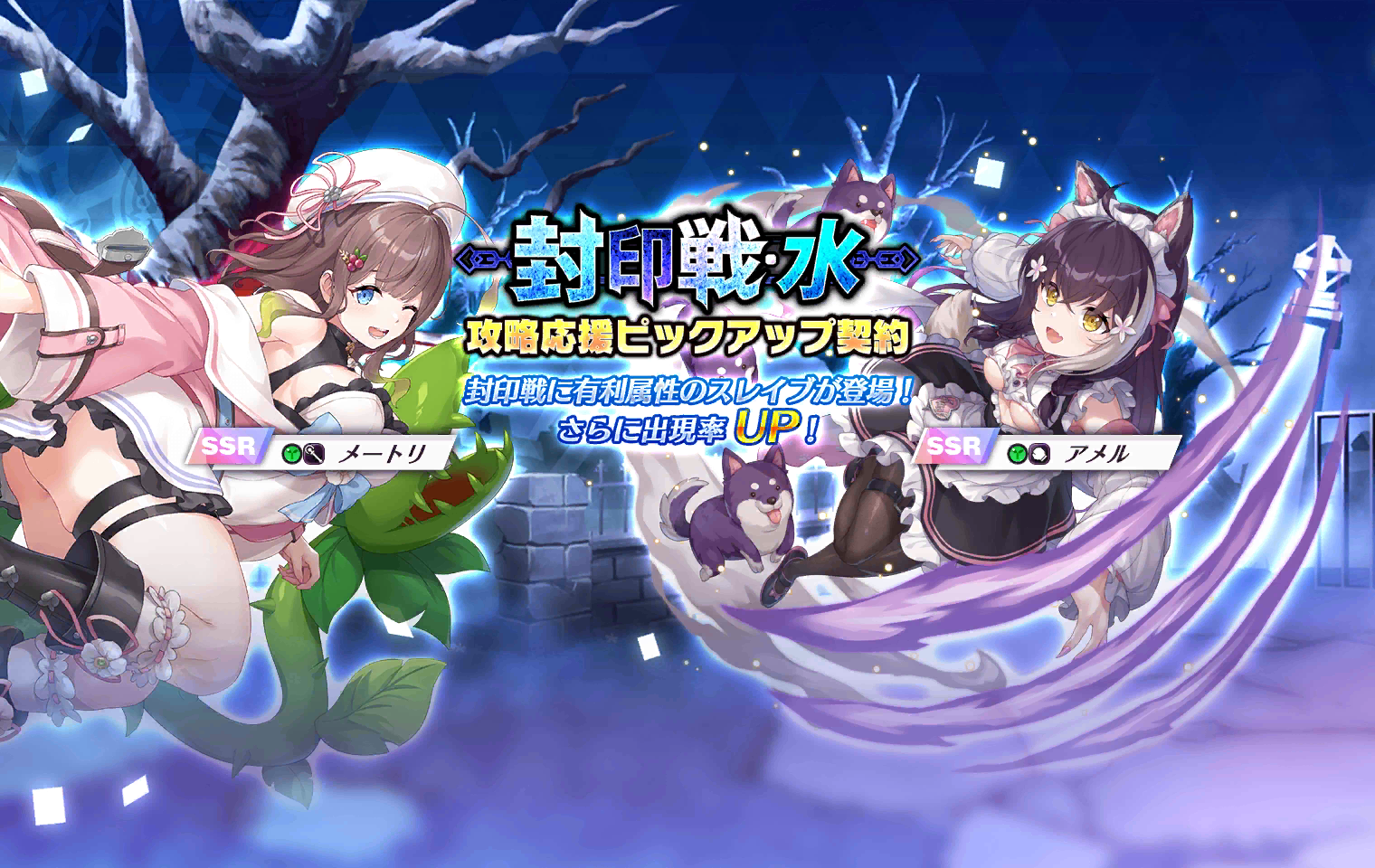Seal Battle - WaterSupport Banner